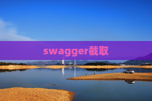 swagger截取